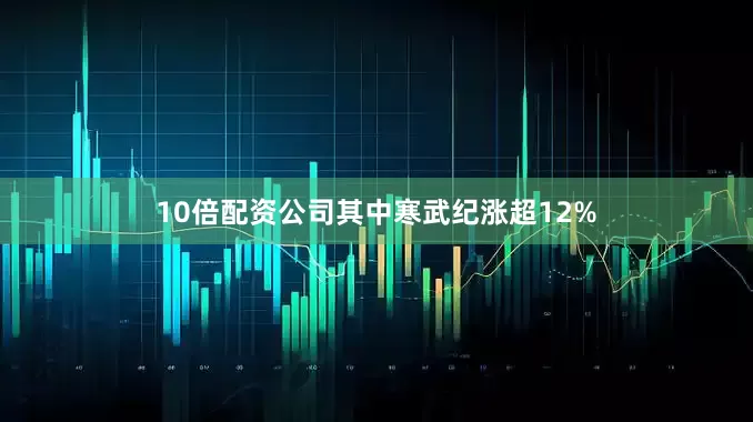 10倍配资公司其中寒武纪涨超12%