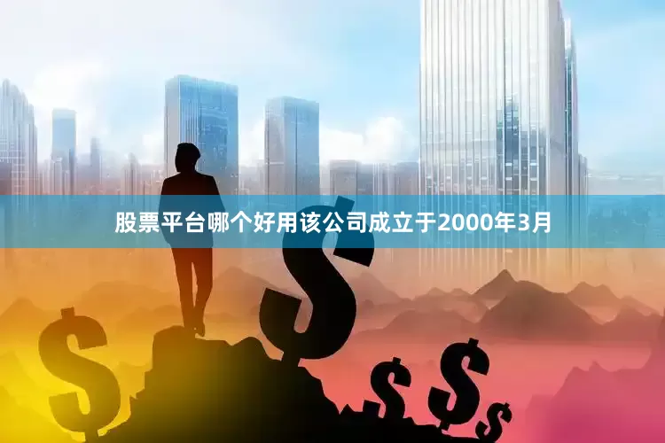 股票平台哪个好用该公司成立于2000年3月