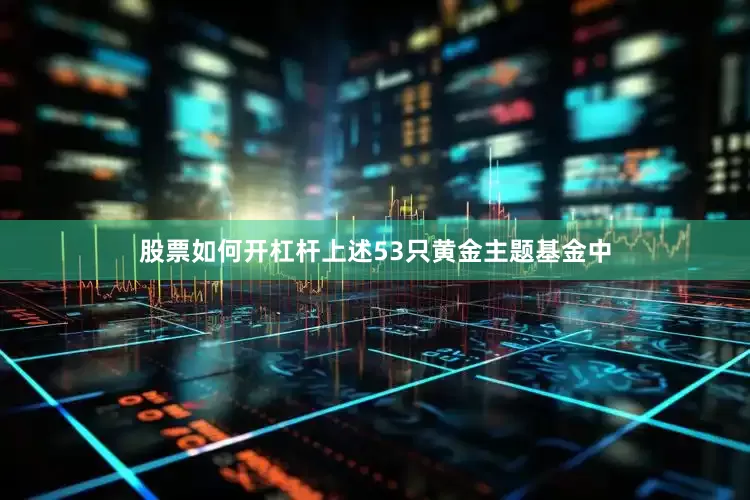 股票如何开杠杆上述53只黄金主题基金中